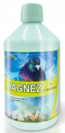 magnez-l-karnityna-energia-dla-golebi-elita-500ml