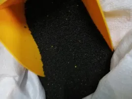 rzepak-1kg-ziarno-dla-golebi-ptactwa-i-zwierzat-hodowlanych-karma-pasza