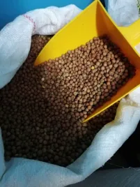 peluszka-brazowa-1kg-ziarno-dla-golebi-ptactwa-i-zwierzat-hodowlanych