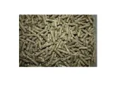 krolik-tucz-piast-pasze-stan-nowy