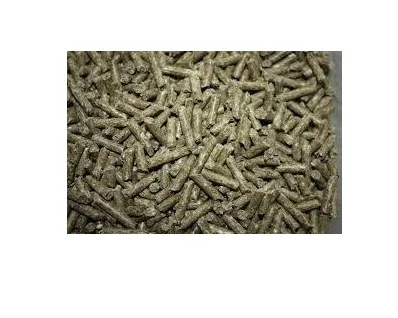 krolik-tucz-piast-pasze-stan-nowy