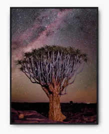 plakat-a3-30x40-w-ramie-imp-afryka-11