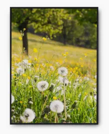 plakat-a3-30x40-w-ramie-imp-laka-04
