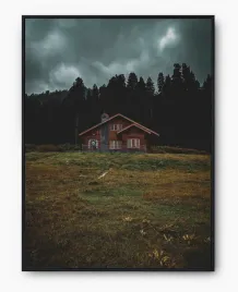 plakat-a3-30x40-w-ramie-imp-domy-08