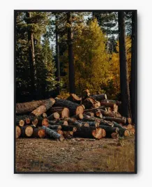 plakat-a3-30x40-w-ramie-imp-drewno-16