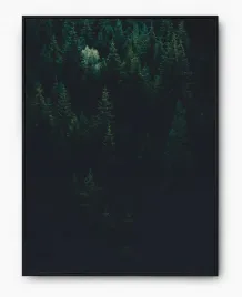 plakat-a3-30x40-w-ramie-imp-las-07