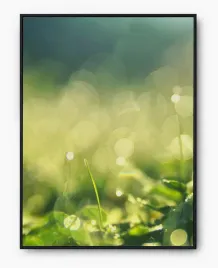 plakat-a3-30x40-w-ramie-imp-trawa-25