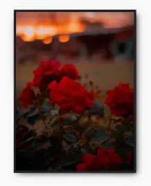 plakat-a3-30x40-w-ramie-imp-roza-02