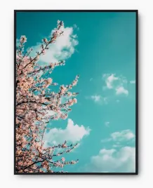 plakat-a3-30x40-w-ramie-imp-natura-29