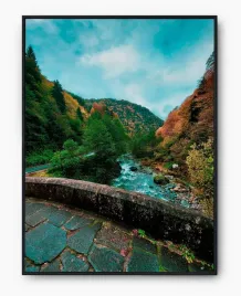 plakat-a3-30x40-w-ramie-imp-natura-28