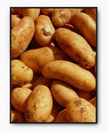 plakat-a3-30x40-w-ramie-imp-warzywa-03