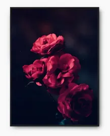 plakat-a4-21x30-w-ramie-imp-roza-07