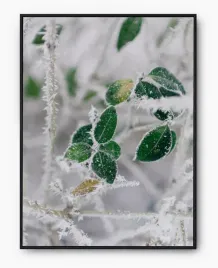 plakat-a4-21x30-w-ramie-imp-zima-07