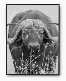 plakat-a3-30x40-w-ramie-imp-afryka-19