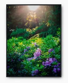 plakat-a4-21x30-w-ramie-imp-natura-27