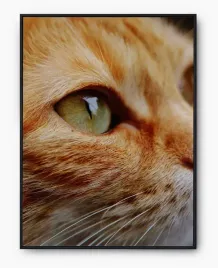 plakat-a3-30x40-w-ramie-imp-koty-08