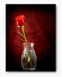 plakat-a3-30x40-w-ramie-imp-roza-01