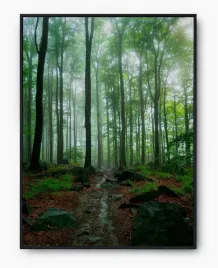 plakat-a4-21x30-w-ramie-imp-natura-24