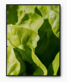 plakat-a3-30x40-w-ramie-imp-warzywa-06