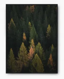 plakat-a3-30x40-w-ramie-imp-las-02