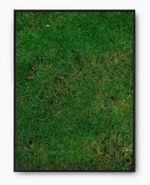 plakat-a4-21x30-w-ramie-imp-trawa-29