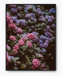 plakat-a4-21x30-w-ramie-imp-kwiaty-28