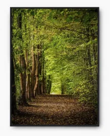 plakat-a3-30x40-w-ramie-imp-las-01