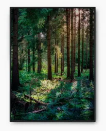 plakat-a4-21x30-w-ramie-imp-las-09