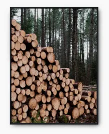 plakat-a4-21x30-w-ramie-imp-drewno-20