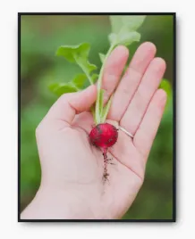 plakat-a4-21x30-w-ramie-imp-warzywa-07