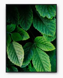 plakat-a4-21x30-w-ramie-imp-natura-26