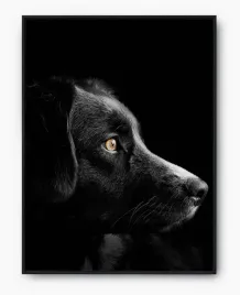 plakat-a4-21x30-w-ramie-imp-psy-09
