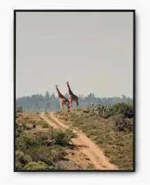 plakat-bez-ramy-a3-30x40-imp-afryka-15