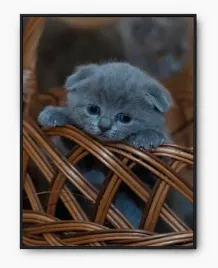 plakat-bez-ramy-a4-21x30-imp-koty-10