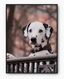 plakat-bez-ramy-a4-21x30-imp-psy-02