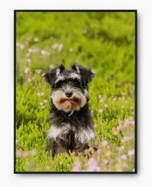 plakat-bez-ramy-a3-30x40-imp-psy-07
