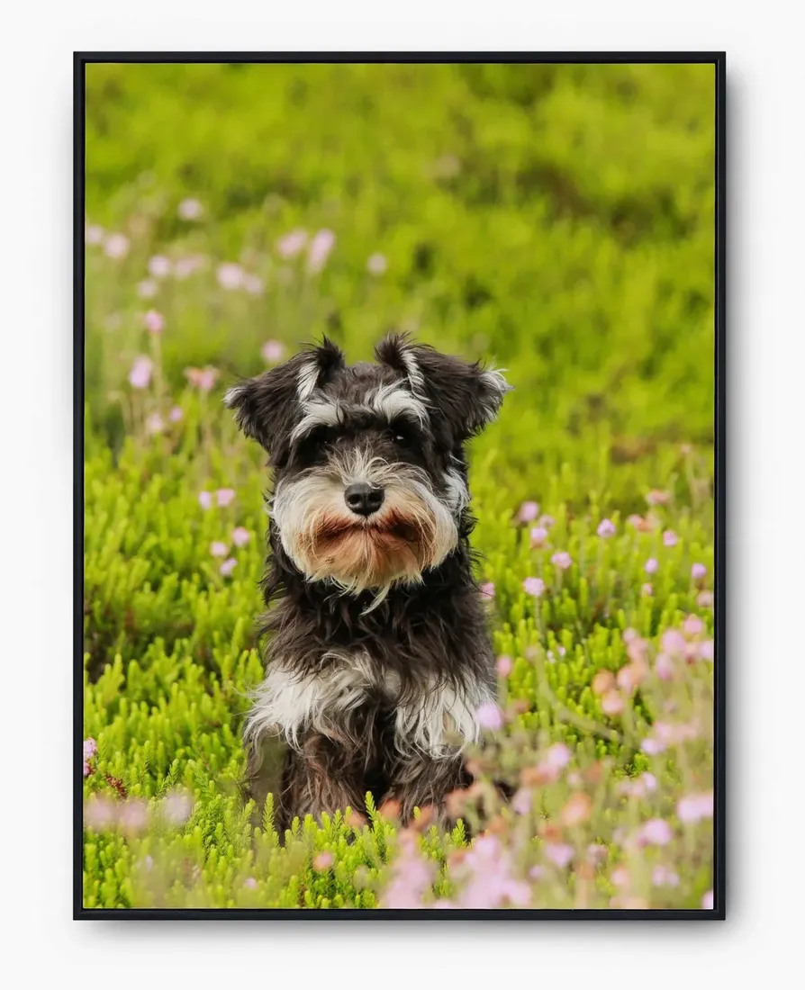 plakat-bez-ramy-a3-30x40-imp-psy-07