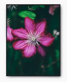 plakat-bez-ramy-a3-30x40-imp-kwiaty-30