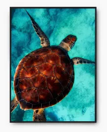 plakat-bez-ramy-a3-30x40-imp-zwierzeta-22