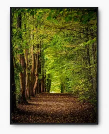 plakat-bez-ramy-a4-21x30-imp-las-01