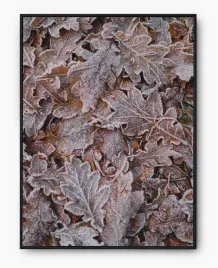 plakat-bez-ramy-a3-30x40-imp-zima-10