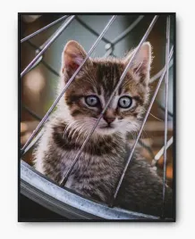 plakat-bez-ramy-a4-21x30-imp-koty-01