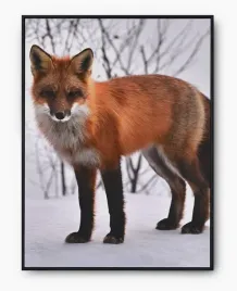 plakat-bez-ramy-a4-21x30-imp-zwierzeta-21