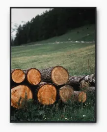 plakat-bez-ramy-a3-30x40-imp-drewno-12