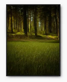 plakat-bez-ramy-a4-21x30-imp-trawa-28