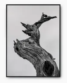 plakat-bez-ramy-a3-30x40-imp-drewno-11