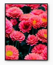 plakat-bez-ramy-a3-30x40-imp-kwiaty-23
