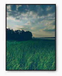 plakat-bez-ramy-a3-30x40-imp-trawa-23