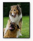 plakat-bez-ramy-a4-21x30-imp-psy-06