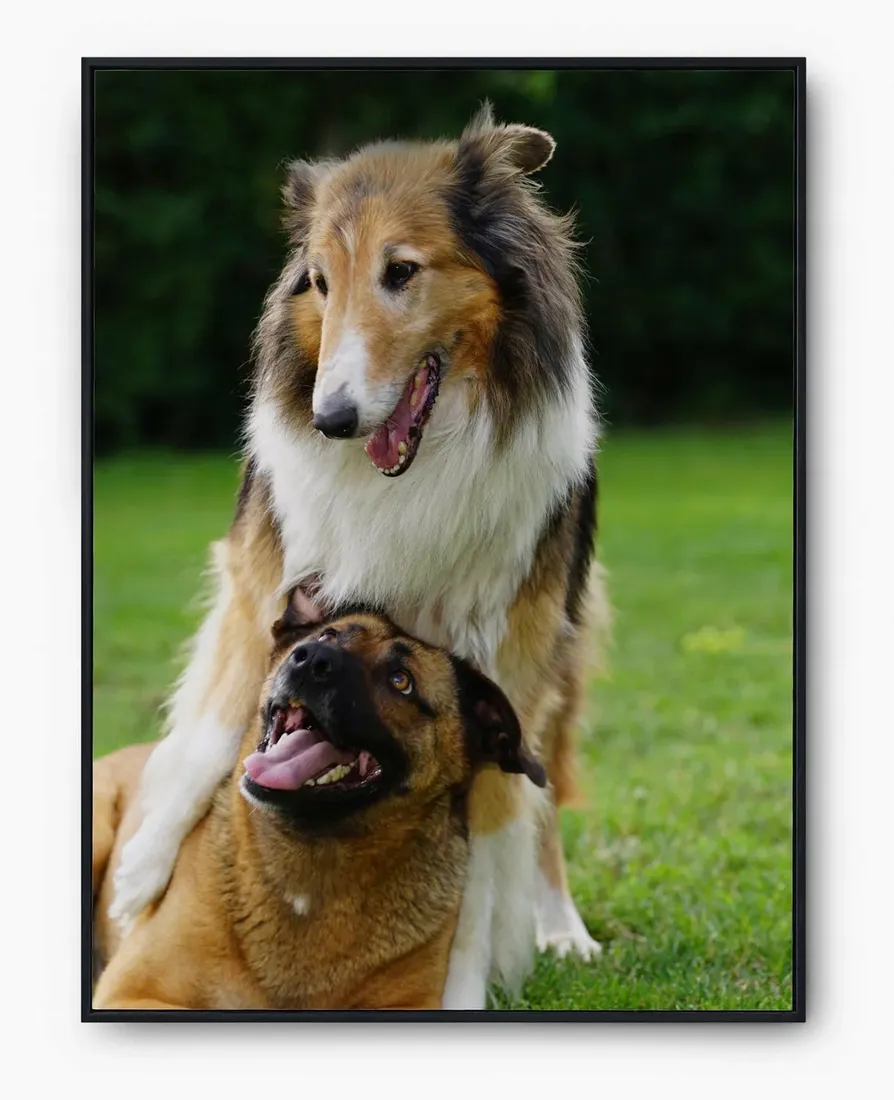 plakat-bez-ramy-a4-21x30-imp-psy-06
